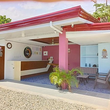3 Sisters Guest House Moalboal Extérieur photo