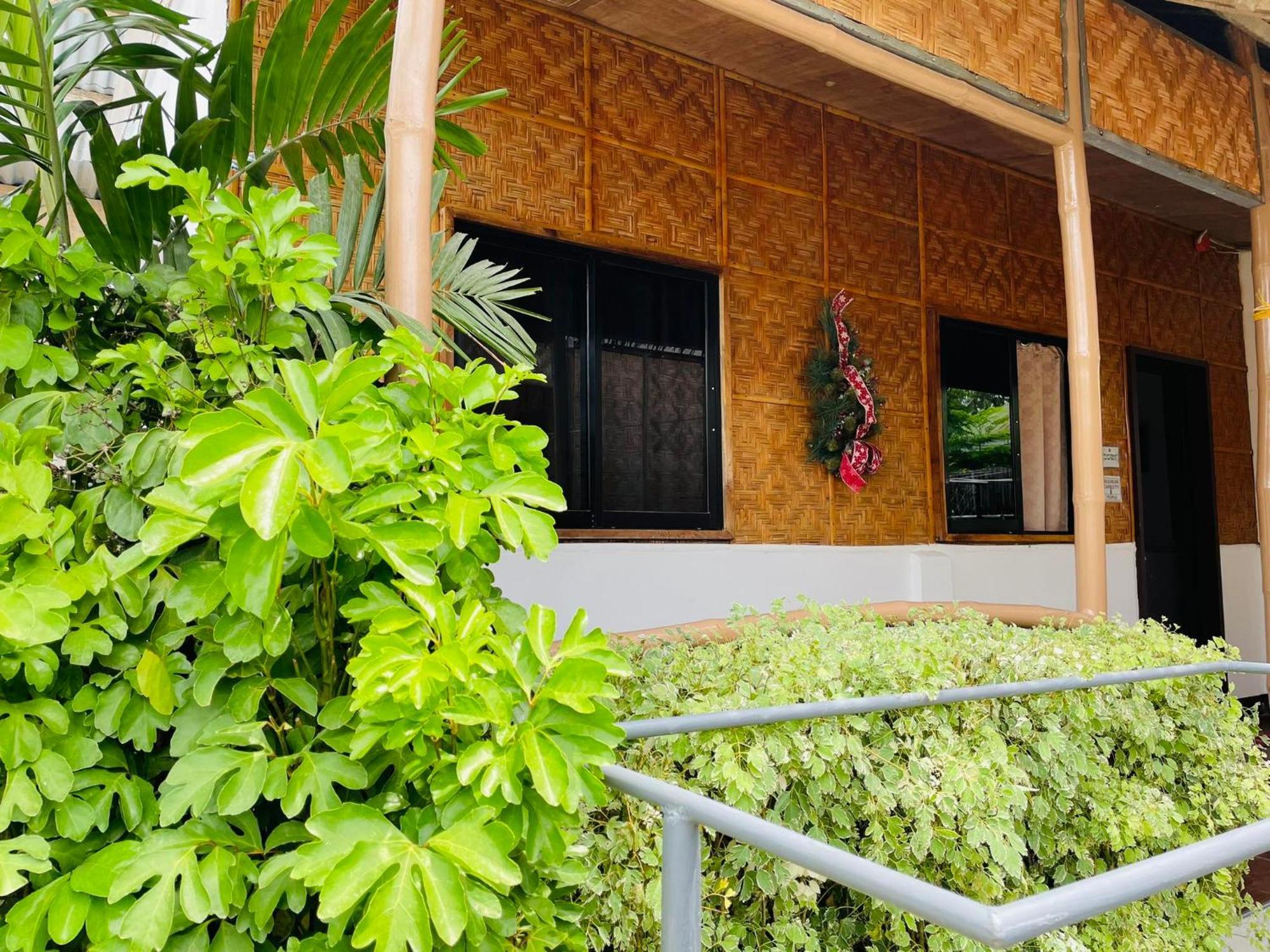 3 Sisters Guest House Moalboal Extérieur photo